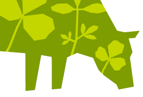 Thumbnail image for Grass Run Farms