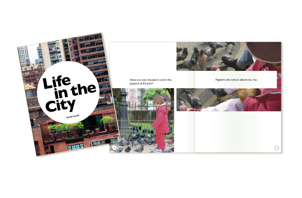 Life in the City booklet for Kaplan University